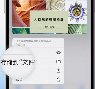 后湖管理区apple维修中心分享iPhone文件应用中存储和找到下载文件