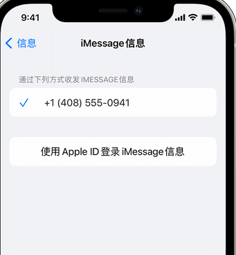 后湖管理区apple维修iPhone上无法正常发送iMessage信息 