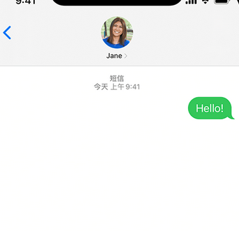后湖管理区apple维修iPhone上无法正常发送iMessage信息