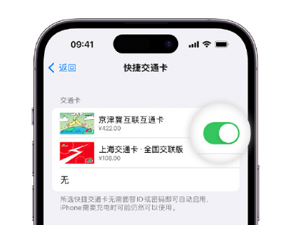 后湖管理区apple维修点分享iPhone上更换Apple Pay快捷交通卡手绘卡面 