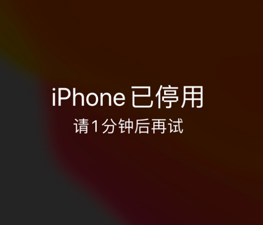 后湖管理区苹果手机维修分享:iPhone 显示“不可用”或“已停用”怎么办？还能保留数据吗？ 