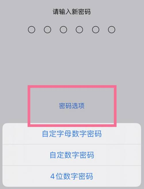 后湖管理区苹果14维修分享iPhone 14plus设置密码的方法 