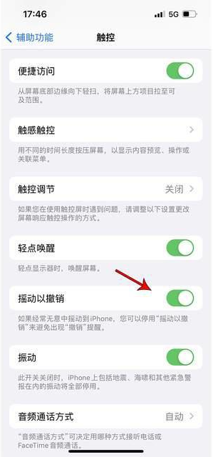 后湖管理区苹果手机维修分享iPhone手机如何设置摇一摇删除文字 