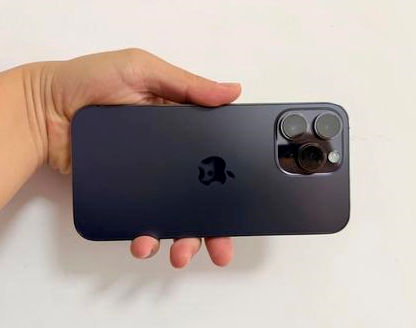 后湖管理区苹果维修点分享iPhone 14 Pro Max发烫多重诱因剖析 